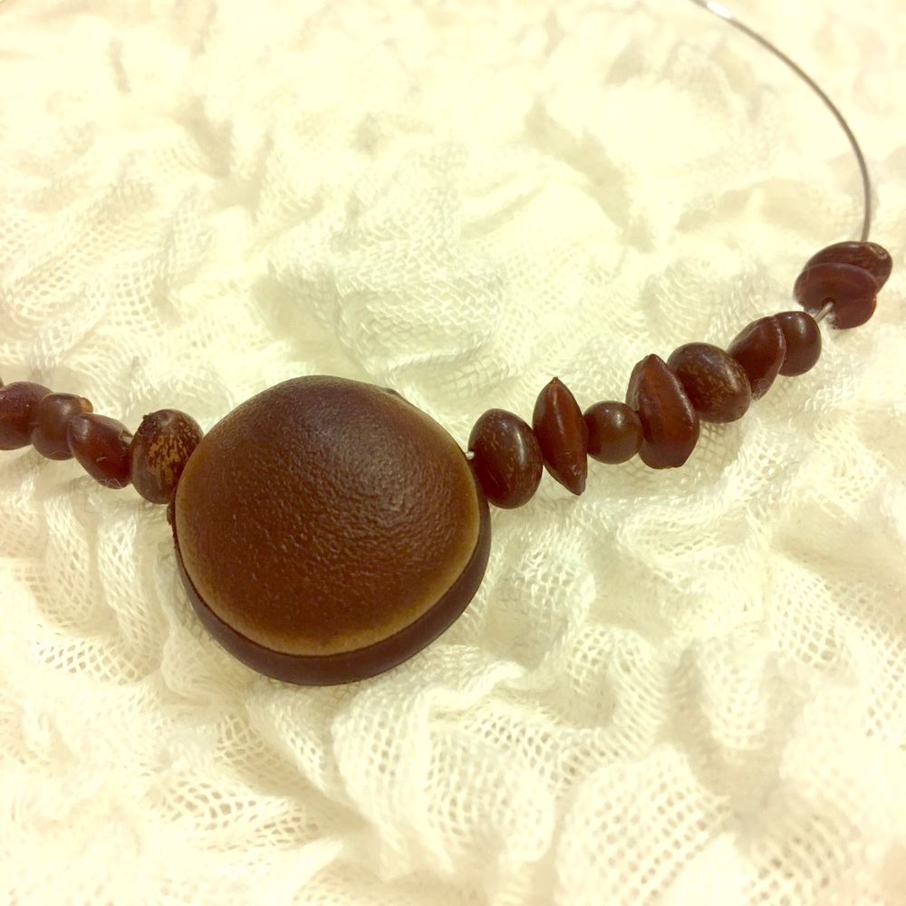 Seed Choker Necklace